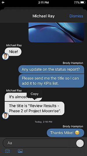 Nueva Beta de la App iOS con posibilidad de copiar chats