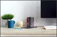 Productividad y Teletrabajo Durante el Distanciamiento Social