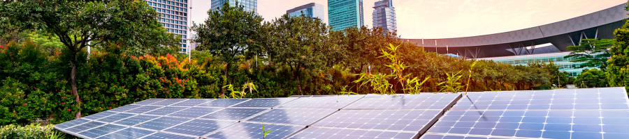 Responsabilidad ambiental y social Responsabilidad ambiental y social