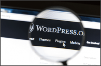 WordPress Plugin Chat en vivo